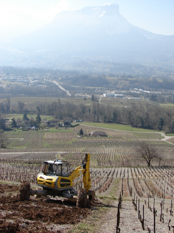 Travaux dans les vignes